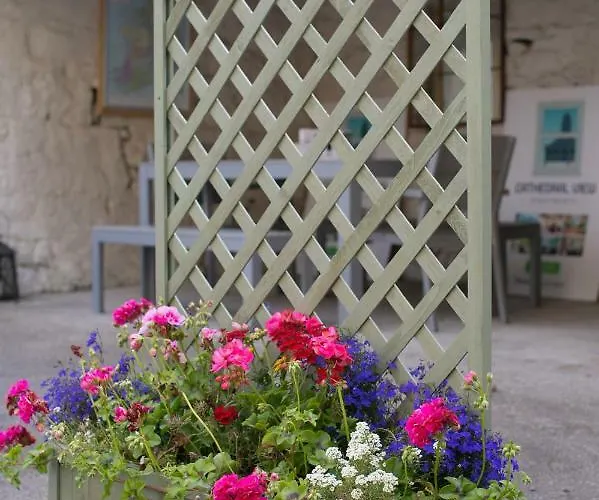 Cathedral View Apartment Longford